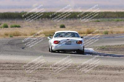 media/Oct-04-2025-OnGrid (Sat) [[44bd565ffa]]/Purple Group/Grapevine/